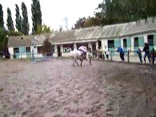 Quiwine : Fete du Cheval 2006