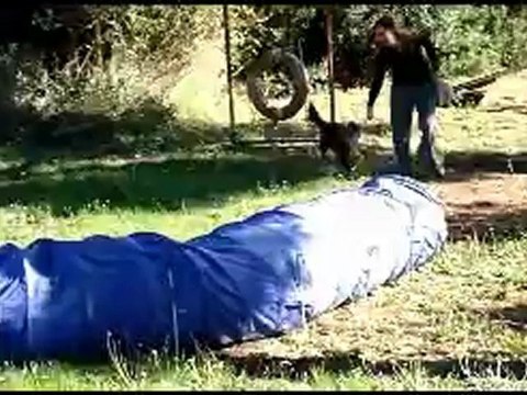 Krypto decouvre l'agility