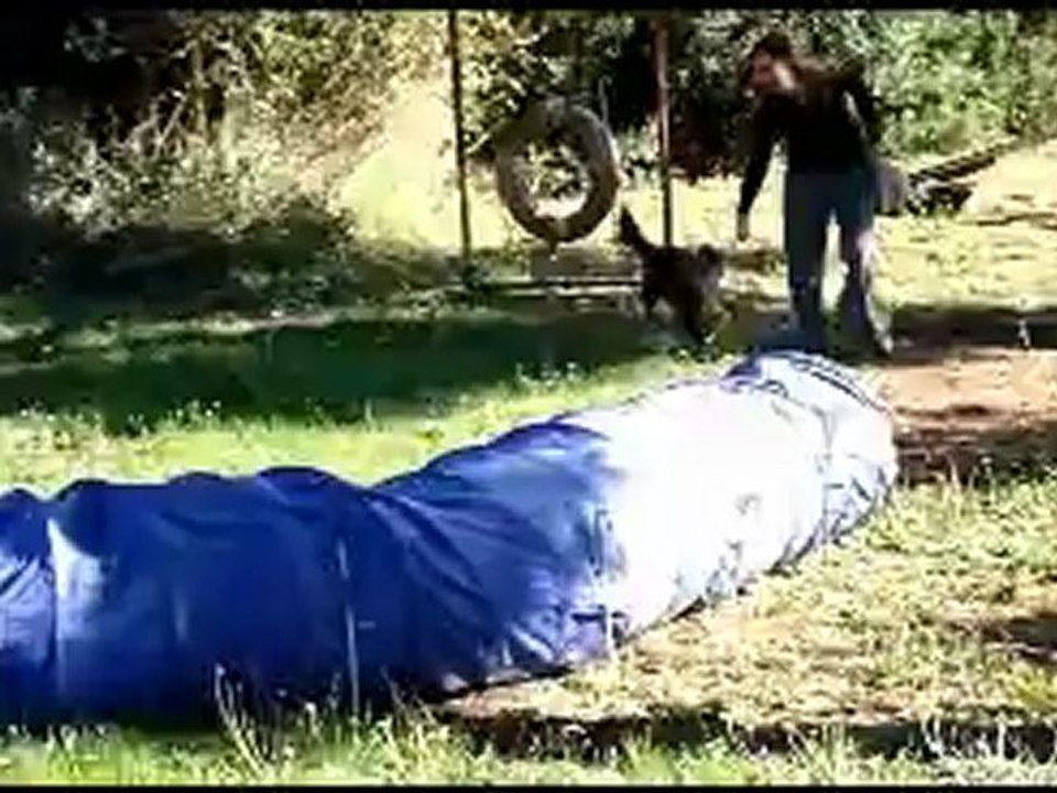 Krypto decouvre l'agility