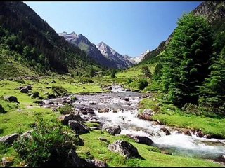 Sangria Gratuite - La Transhumance