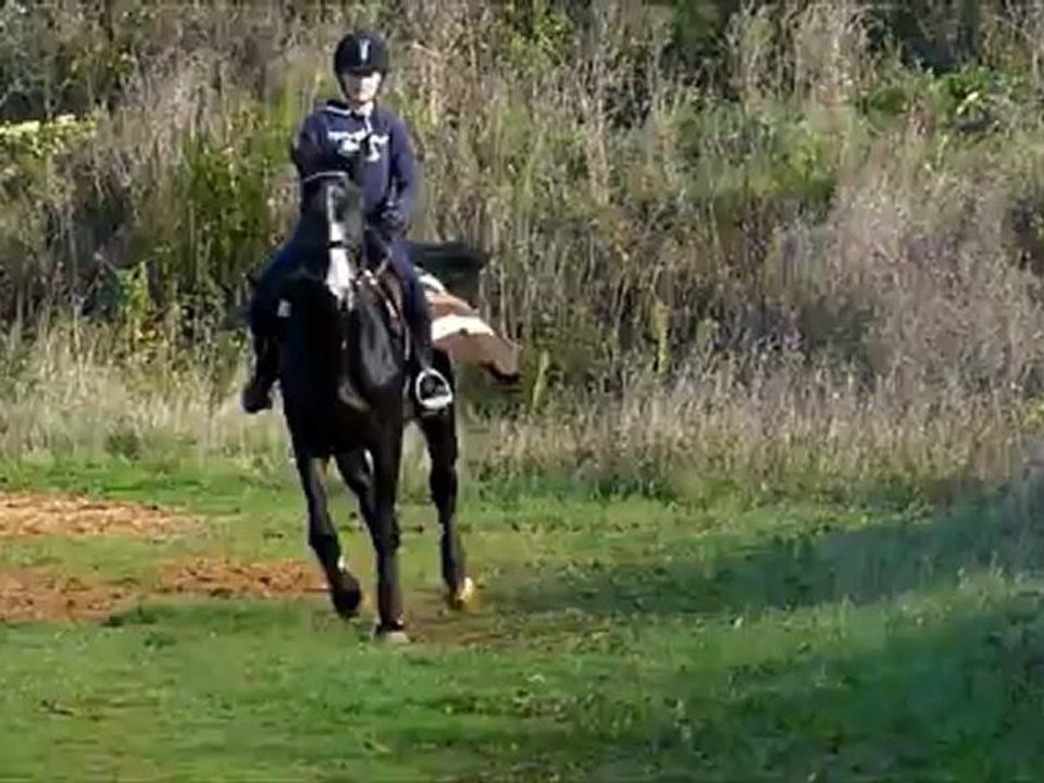 Cuba Libre - ligne de tronc saut avec Armandine sur 80cm  27-10-12