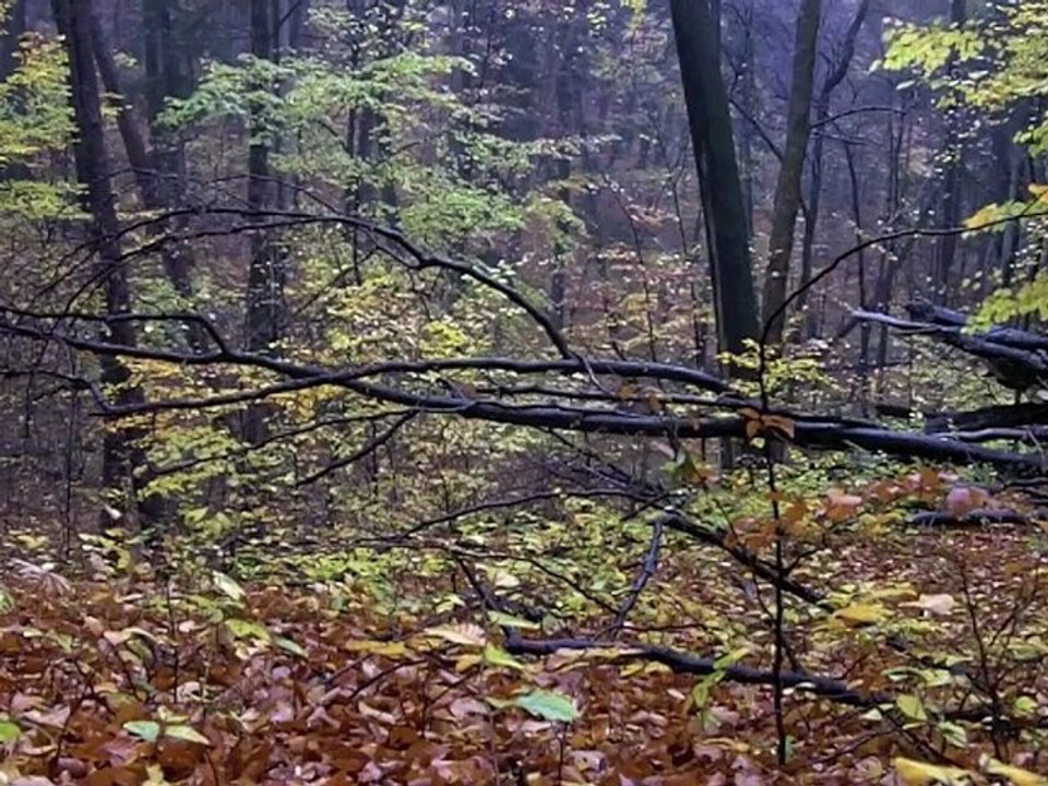 Record 27.10.2012, 14:53 – 15:00, Radziszów