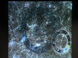 Cosmic Uroboros: The Scale that Unites the Universe