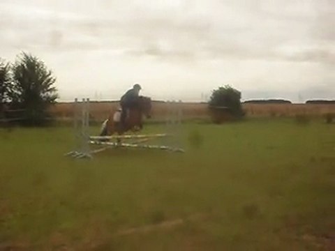 Saut d' obstacles à poney, stage Les poneys de Sophie 77 Oct 2012.