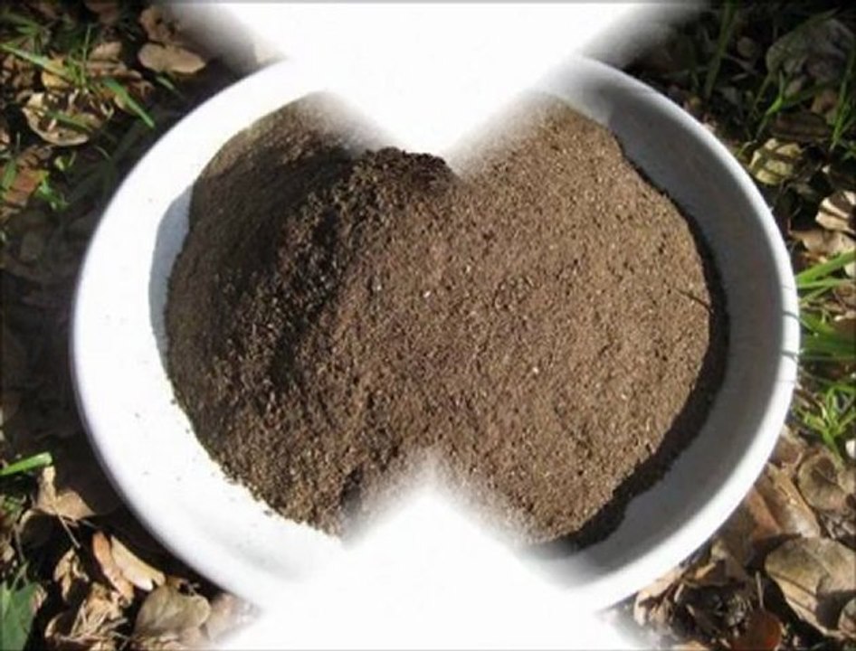 bat-bat.com - yarasa gübresi 13