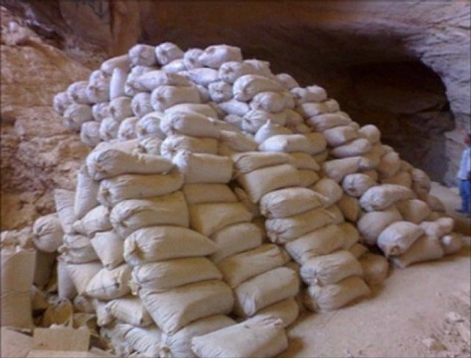 bat-bat.com - yarasa gübresi 14