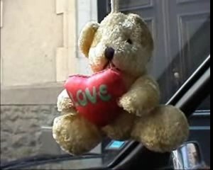 Le Nounours Antivol