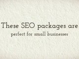 Small Business SEO Affordable Marketing, $99 SEO for Small Businesses