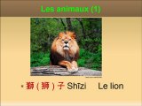 Vocabulaire chinois : Les animaux en chinois