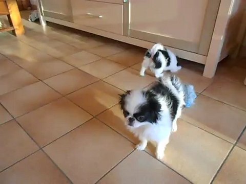 c'est dimanche bonne journée calin de mes bébés 001