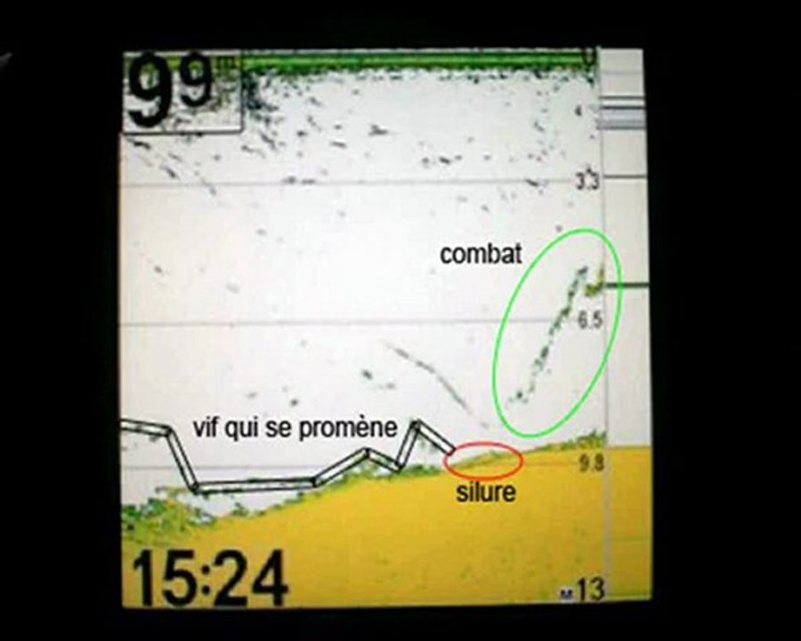 Silure sur echo + touche d'un 170cm