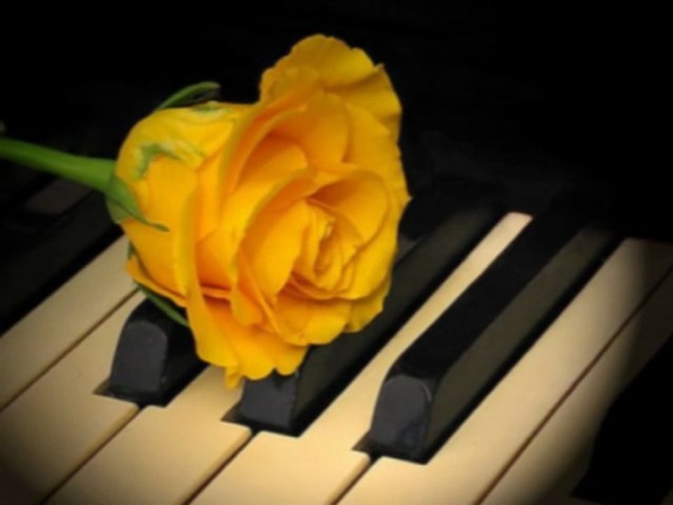 *-♥-*Merci ✿ pour que tu maimes encore*-♥-*