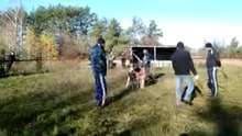 Видео0001