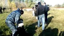 Видео0003
