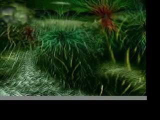 HAPPY  WARYSEB ALAIN MOISSET   WARYSEB