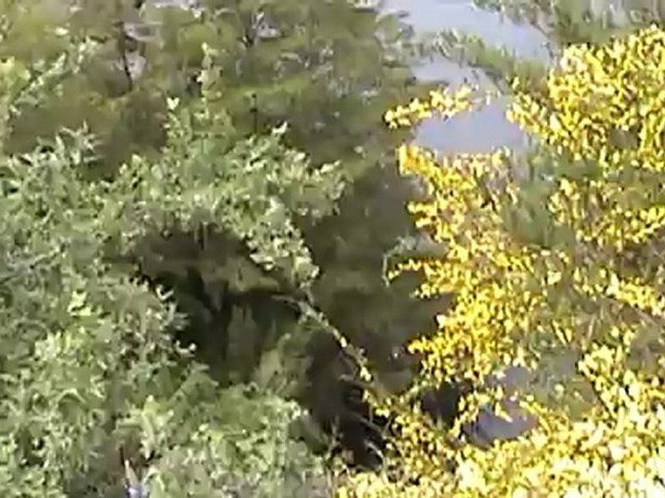 Camino de los 7 lagos
