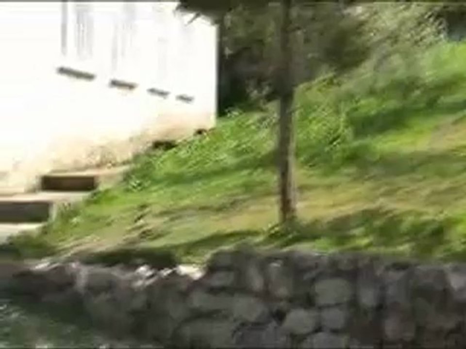 şerefter-ayvalıpınar -göynücek-amasya