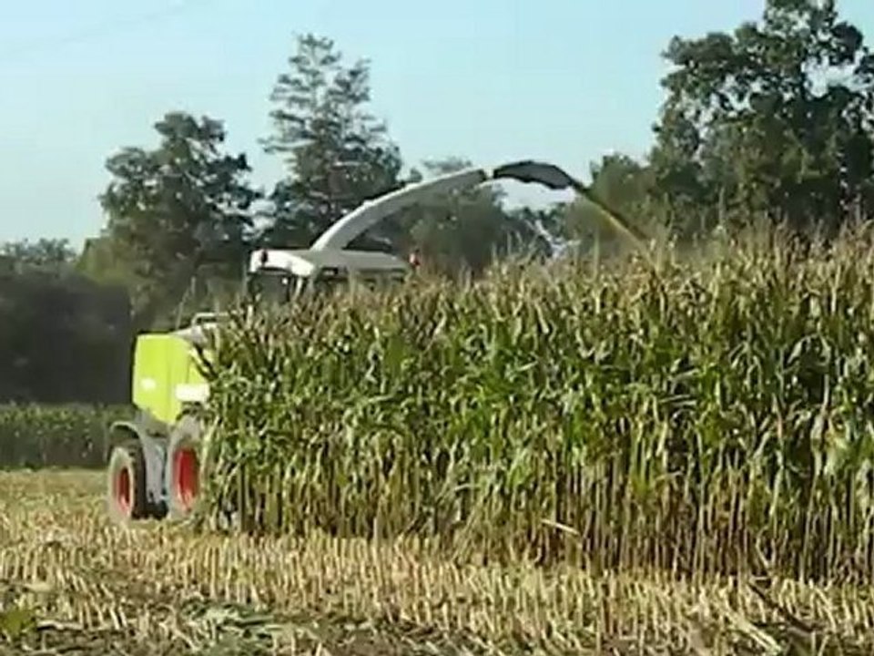 ensilage 2012 avec une claas