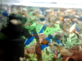 video-2012-10-28-15-54-48