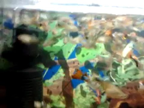 video-2012-10-28-15-54-48