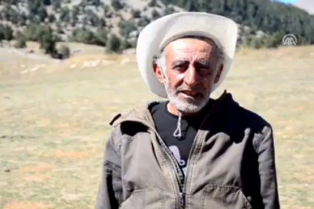 Topladığı eşekler başına dert oldu