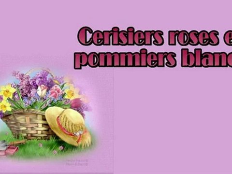 Cerisiers roses et pommiers blancs par Jean-Loup