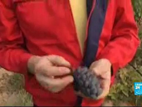 Birmanie - Le nouvel eldorado des investisseurs - FRANCE 24