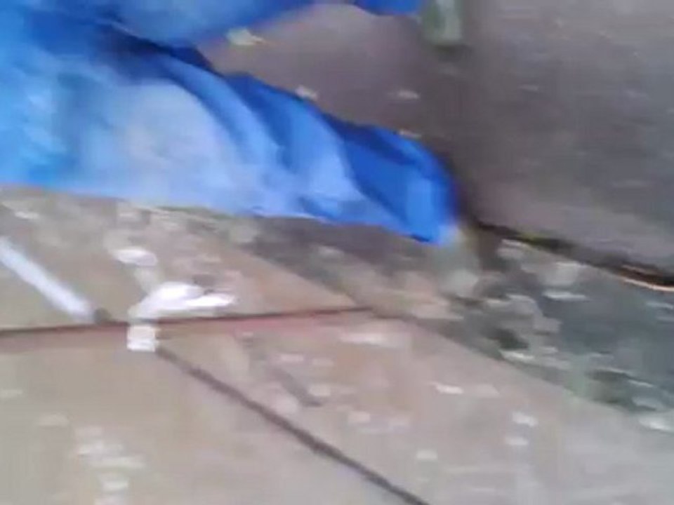 traversee riviere en quad     djodjo