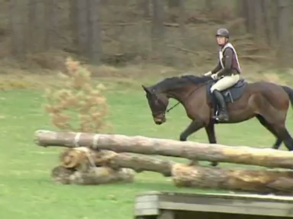 hangban training