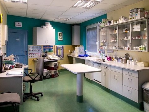 WETERYNARZE PIŁA CHODZIEŻ WAŁCZ ZŁOTÓW CZARNKÓW TRZCIANKA BIAŁOŚLIWIE UJŚCIE KACZORY BUDZYŃ WYRZYSK SZAMOCIN WĄGROWIEC ROGOŹNO KRAJENKA, WETERYNARZ JASTROWIE KRZYŻ WIELKOPOLSKI WIELEŃ SZCZECINEK OSIEK NAD NOTECIĄ ZŁOCIENIEC MIROSŁAWIEC GOŁAŃCZ LIPKA