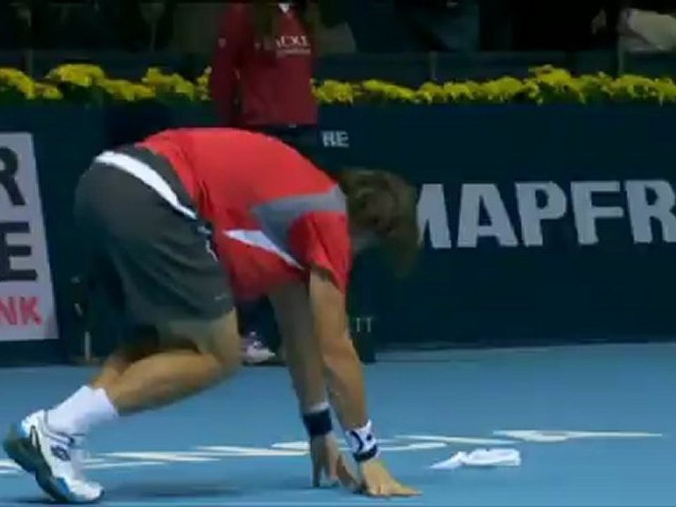 David Ferrer, campeón en su propia tierra