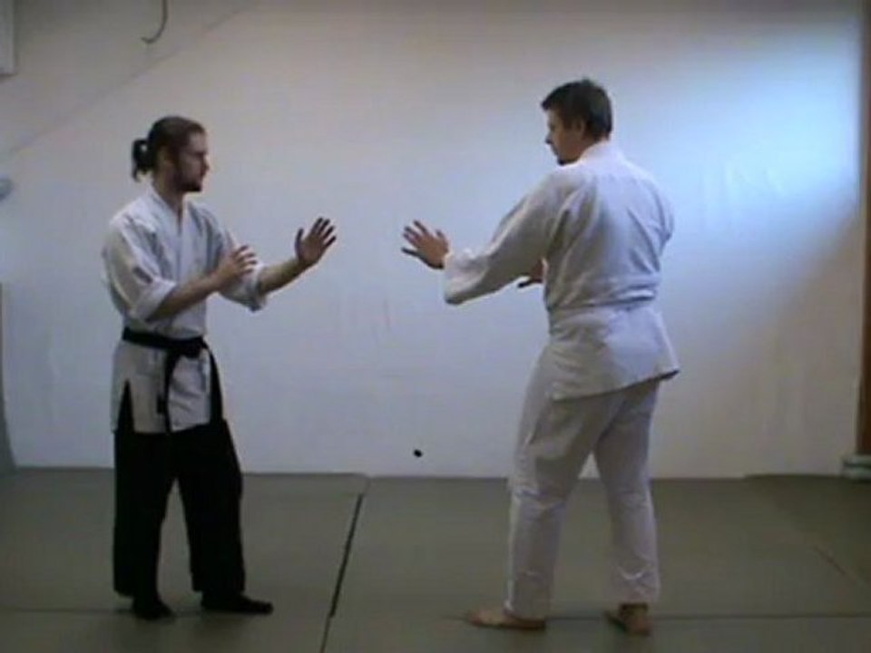 Gyaku hanmi katate dori forme complète