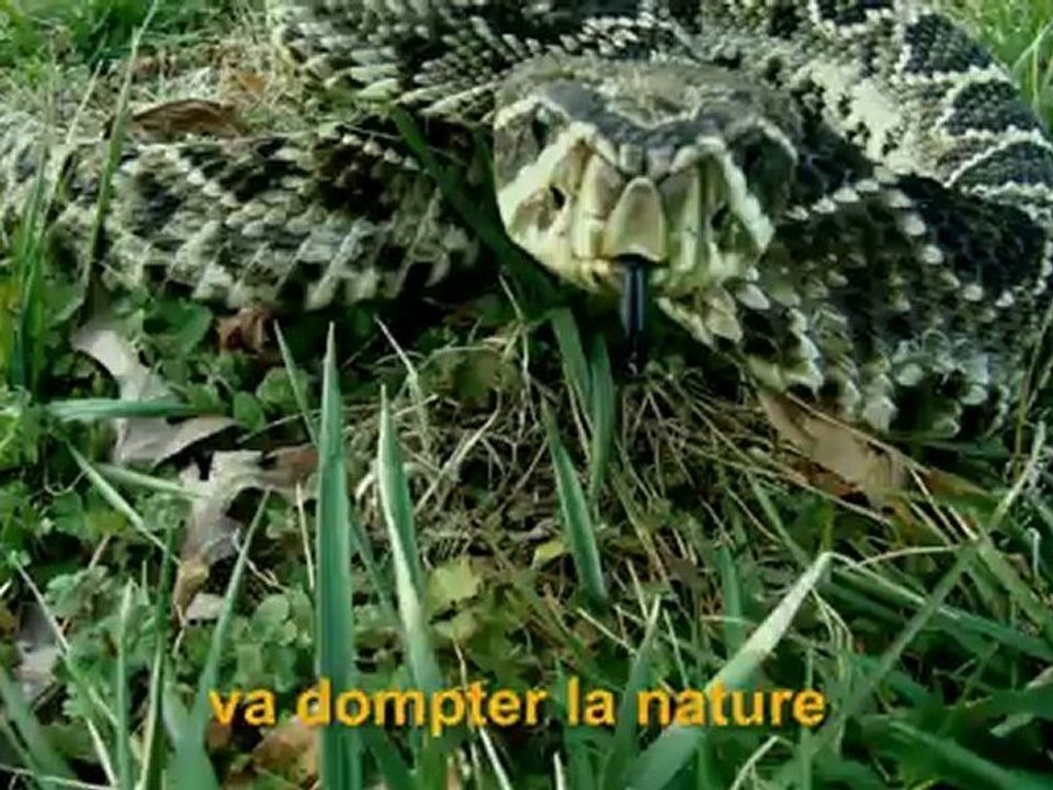 Teaser de la Far Cry Experience [FR]