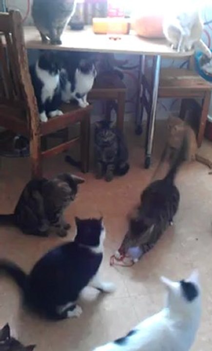 VIDEO0024