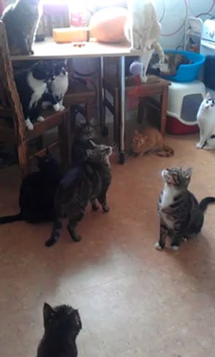 VIDEO0025