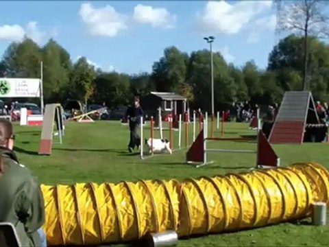 Dakota Concours de Basse Goulaine 2012-10-28