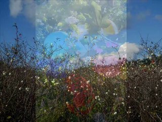 BRUNO THIEVET AGGRAVE SON CAS  (Pot-pourri musical - Mix 2012)