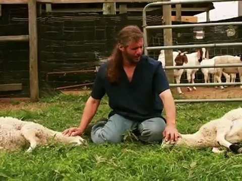 Why do Muslims eat Halal - Unbelievable