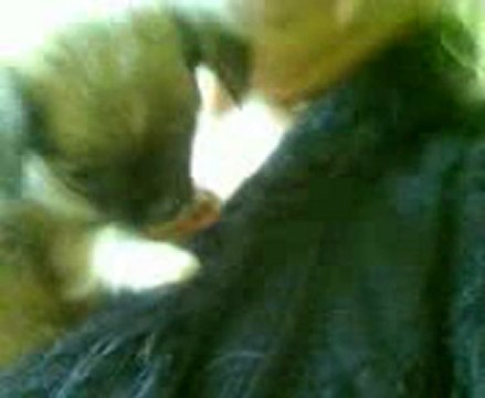 notre premier contact tu avais 6 semaines presque 7