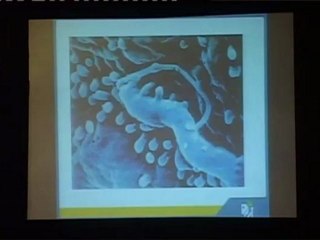 PCNI2012 (Oct 7) Hall-B Disc2 - Part 4