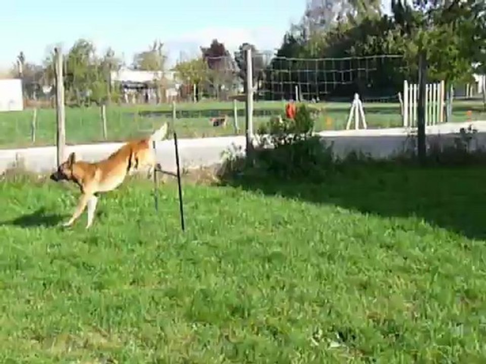Agility Findzy