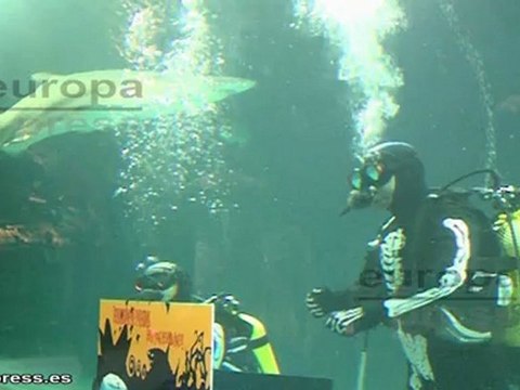 Dos buzos-calavera colocan lápida entre tiburones
