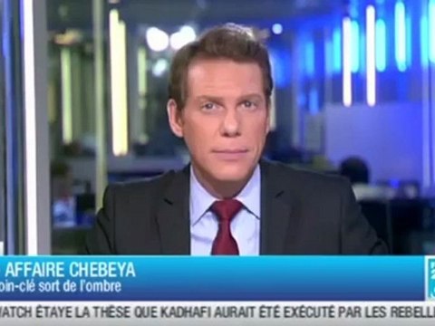 RDC - AFFAIRE CHEBEYA UN TEMOIN-CLE SORT DE L'OMBRE