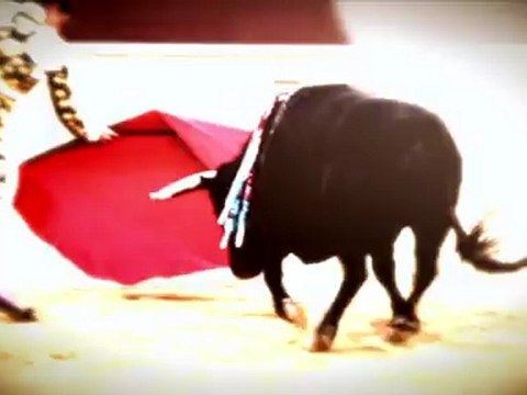 ENTREGA DE TROFEOS TAURINOS FERIA DE ALBACETE 2012