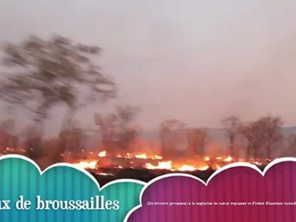 feux de broussailles