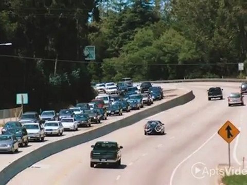 Wildwood Homes Apartments in Longmont, CO - ForRent.com