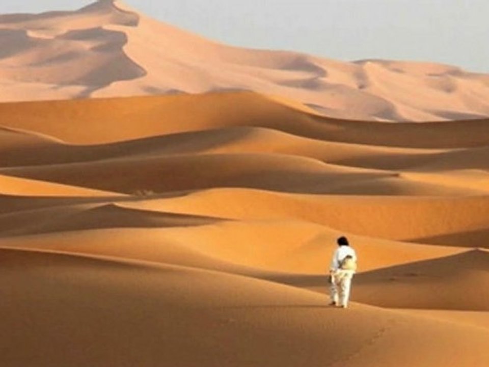 Divine Descent and Evolutionary Necessity 20-1