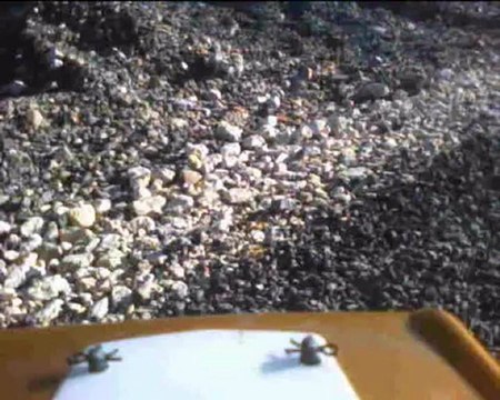 Mon ford Bronco premiers tours de roues dimanche 28 octobre