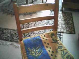 les plante carnivore