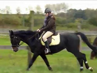 Cuba Libre au galop avec Camille - 28/10/12